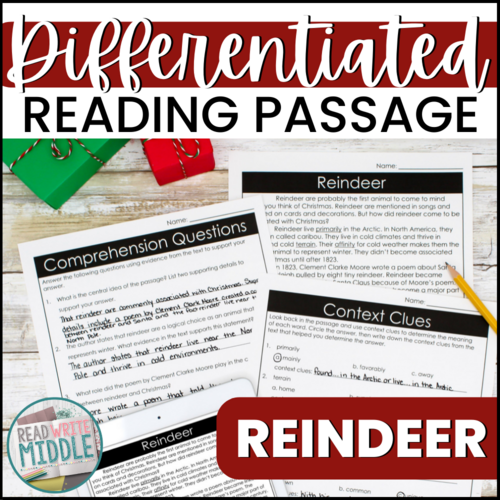 Christmas reading passage and activities